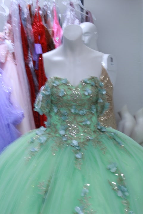 sage green dress for quince Long Quinceanera Dress 3D Flower Ball Gown